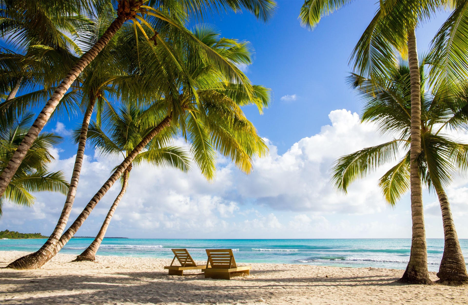 Saona island beach